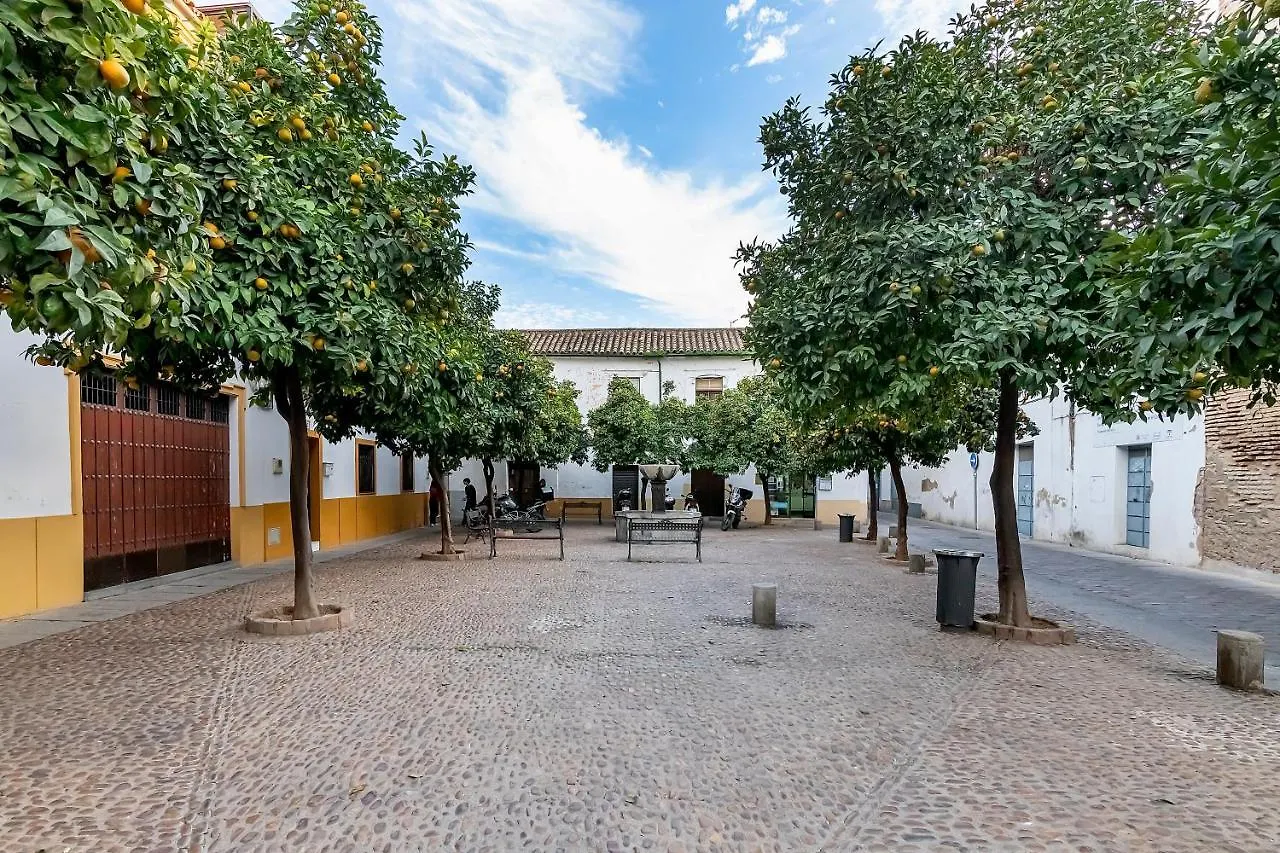 Bhost - Regina Apartment Cordoba
